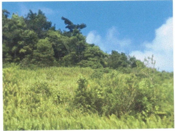 First image of Lot 136 Moorlands Manor in Moorlands Phase1&2, Manchester, Jamaica - property is For Sale