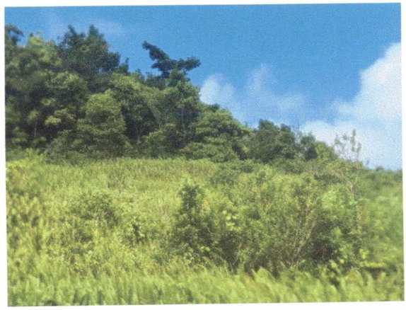 First image of Lot 136 Moorlands Manor in Moorlands Phase1&2, Manchester, Jamaica - property is For Sale