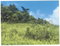 First image of Lot 136 Moorlands Manor in Moorlands Phase1&2, Manchester, Jamaica - property is For Sale