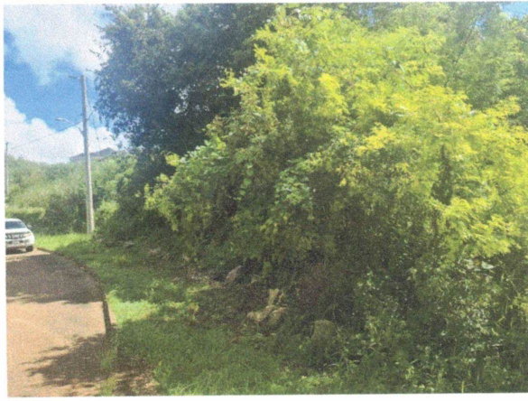 Third image of Lot 82 Palisadoes Avenue, in Moorlands Phase1&2, Manchester, Jamaica - property is For Sale