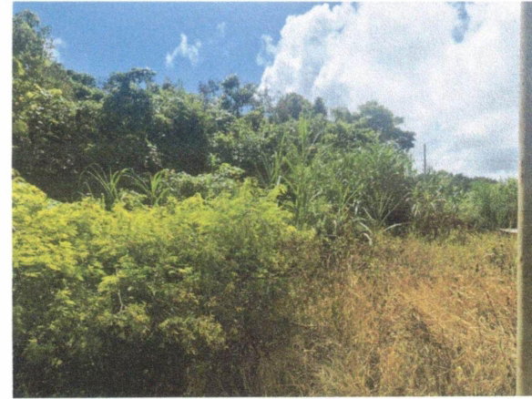 First image of Lot 82 Palisadoes Avenue, in Moorlands Phase1&2, Manchester, Jamaica - property is For Sale
