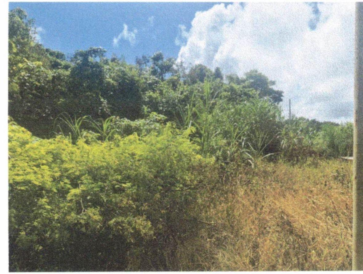 First image of Lot 82 Palisadoes Avenue, in Moorlands Phase1&2, Manchester, Jamaica - property is For Sale