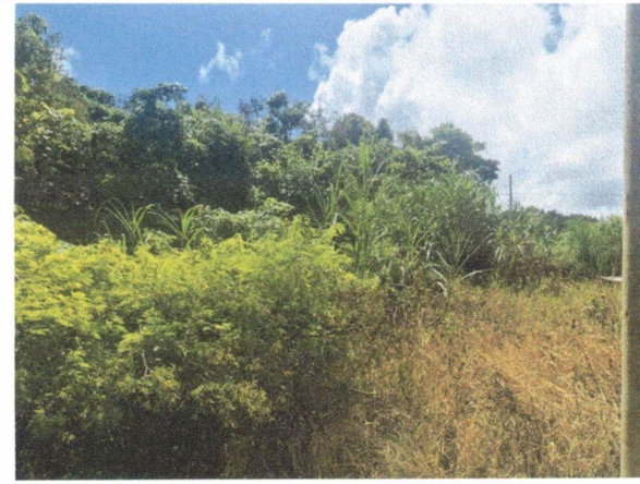 First image of Lot 82 Palisadoes Avenue, in Moorlands Phase1&2, Manchester, Jamaica - property is For Sale