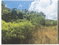 First image of Lot 82 Palisadoes Avenue, in Moorlands Phase1&2, Manchester, Jamaica - property is For Sale