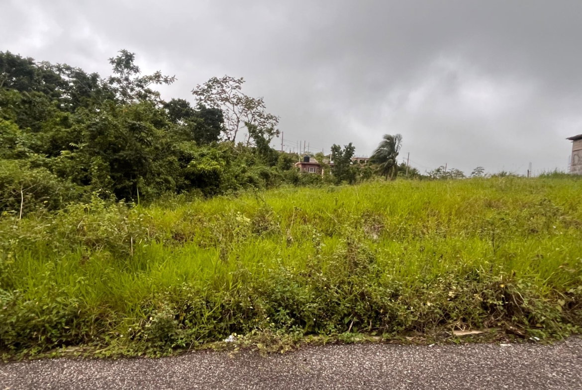 Second image of Lot 504 New Wales, Manchester in Knockpatrick, Manchester, Jamaica - property is For Sale