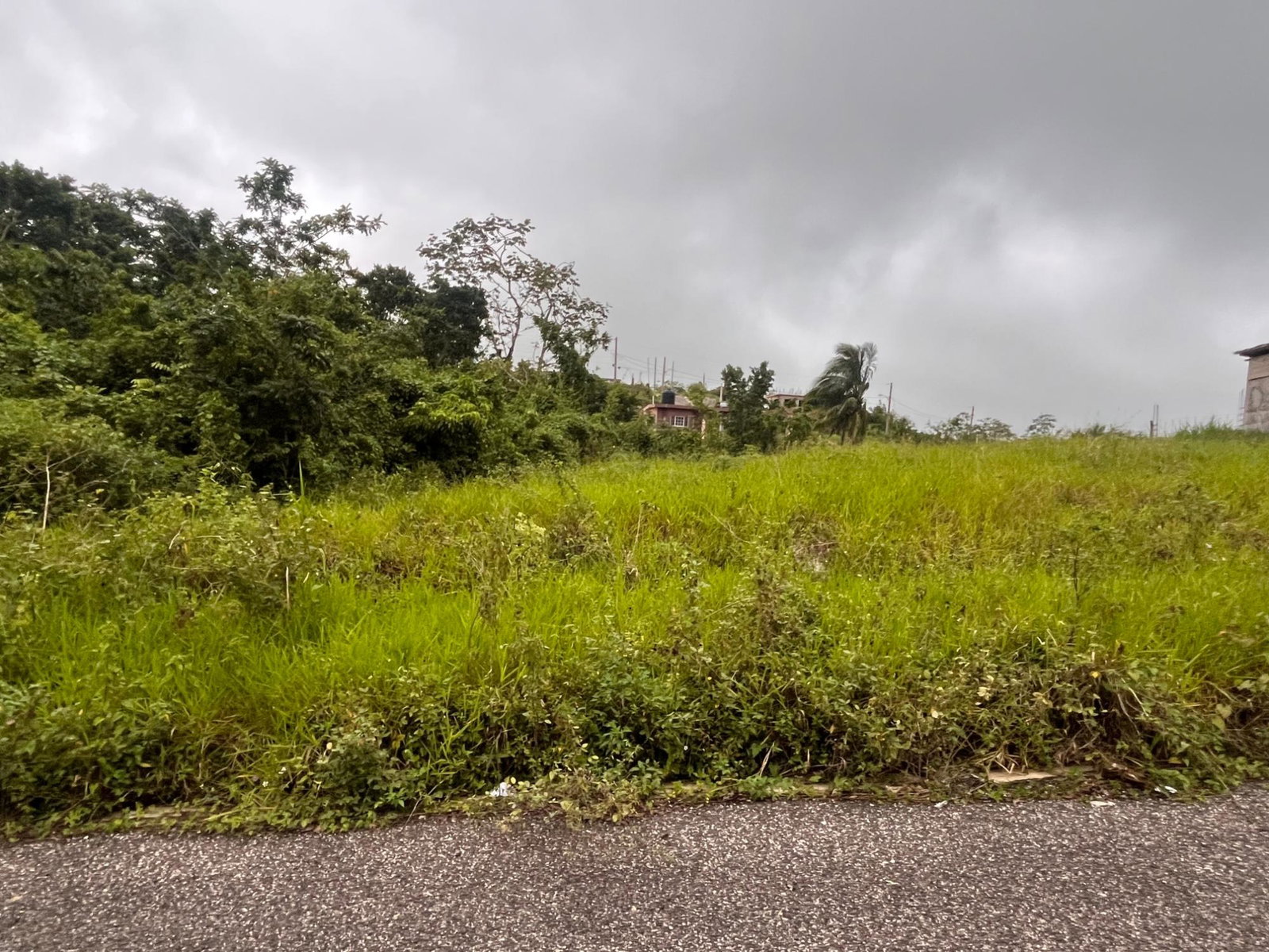 Second image of Lot 504 New Wales, Manchester in Knockpatrick, Manchester, Jamaica - property is For Sale