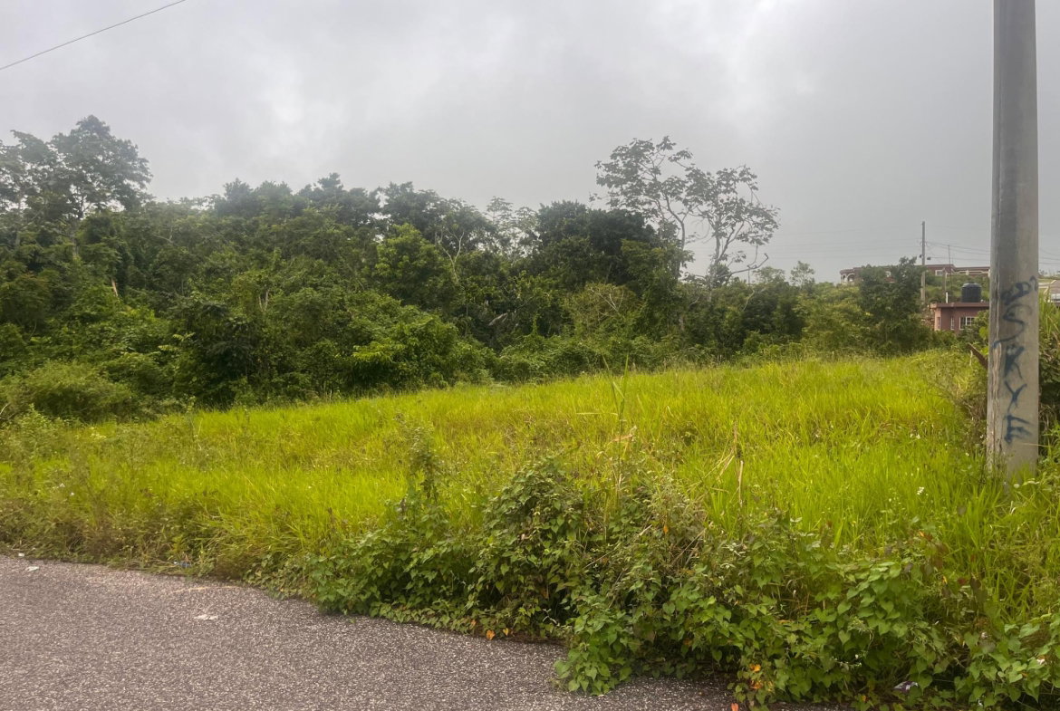 First image of Lot 504 New Wales, Manchester in Knockpatrick, Manchester, Jamaica - property is For Sale
