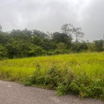 First image of Lot 504 New Wales, Manchester in Knockpatrick, Manchester, Jamaica - property is For Sale