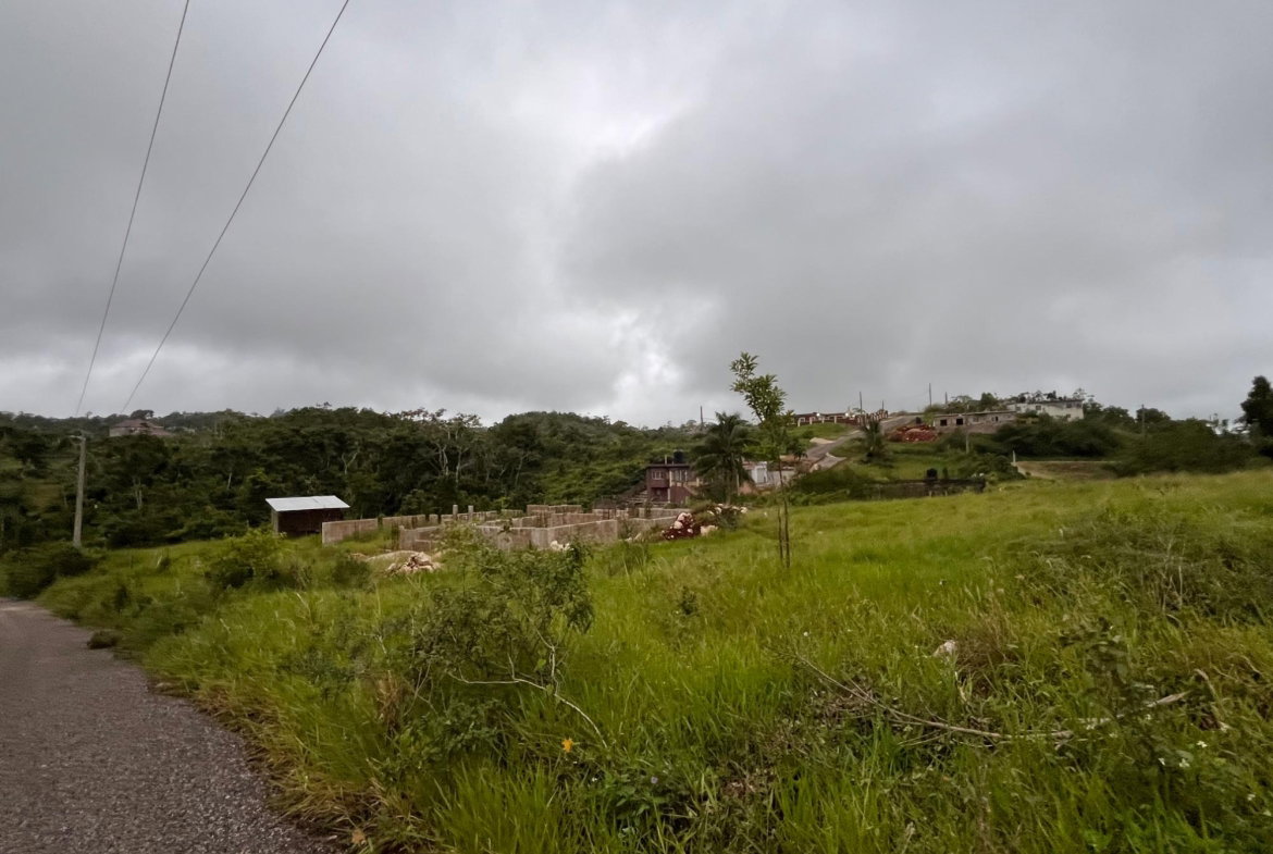 Third image of Lot 504 New Wales, Manchester in Knockpatrick, Manchester, Jamaica - property is For Sale