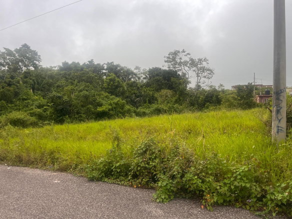 First image of Lot 504 New Wales, Manchester in Knockpatrick, Manchester, Jamaica - property is For Sale