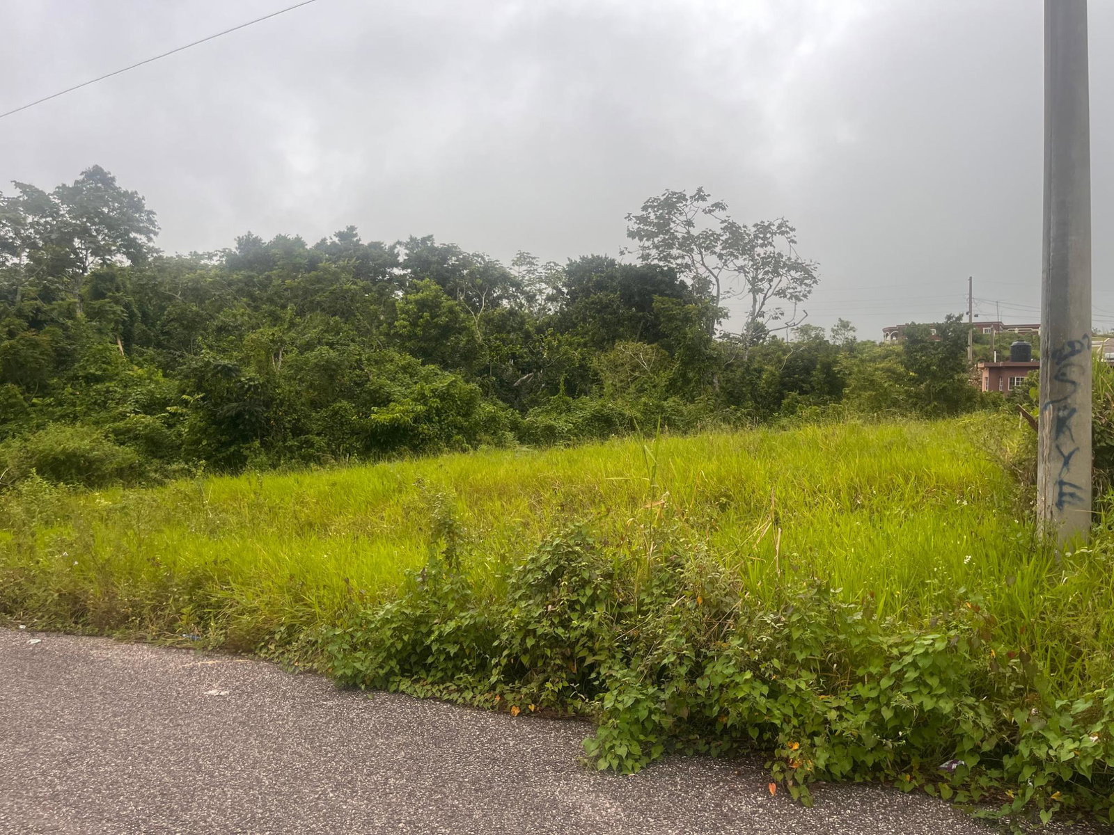 First image of Lot 504 New Wales, Manchester in Knockpatrick, Manchester, Jamaica - property is For Sale