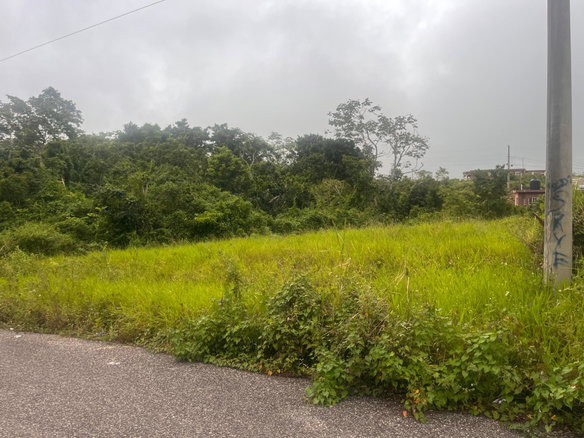 First image of Lot 504 New Wales, Manchester in Knockpatrick, Manchester, Jamaica - property is For Sale