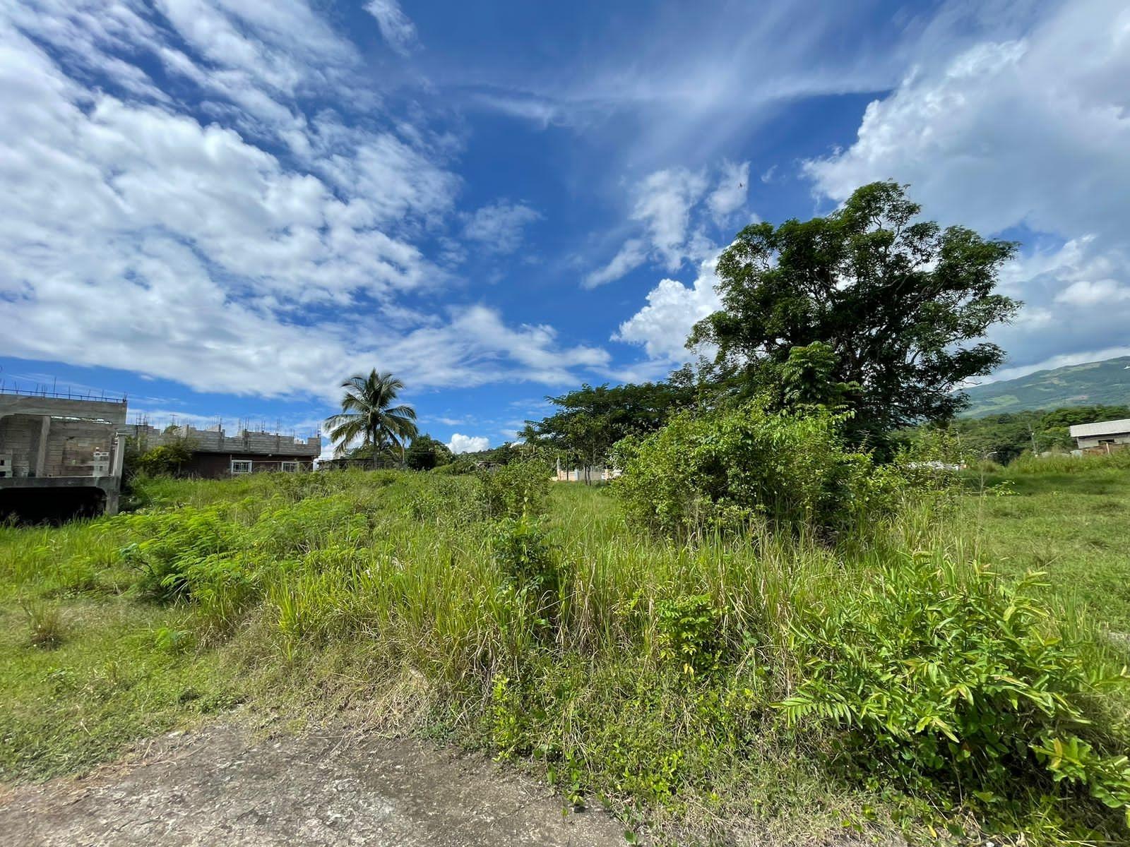 Residential-Lot-for-Sale-in-Orangefield-St.-Catherine-Jamaica Third image of 45 Orangefield Village in Ewarton, St. Catherine, Jamaica - property is For Sale