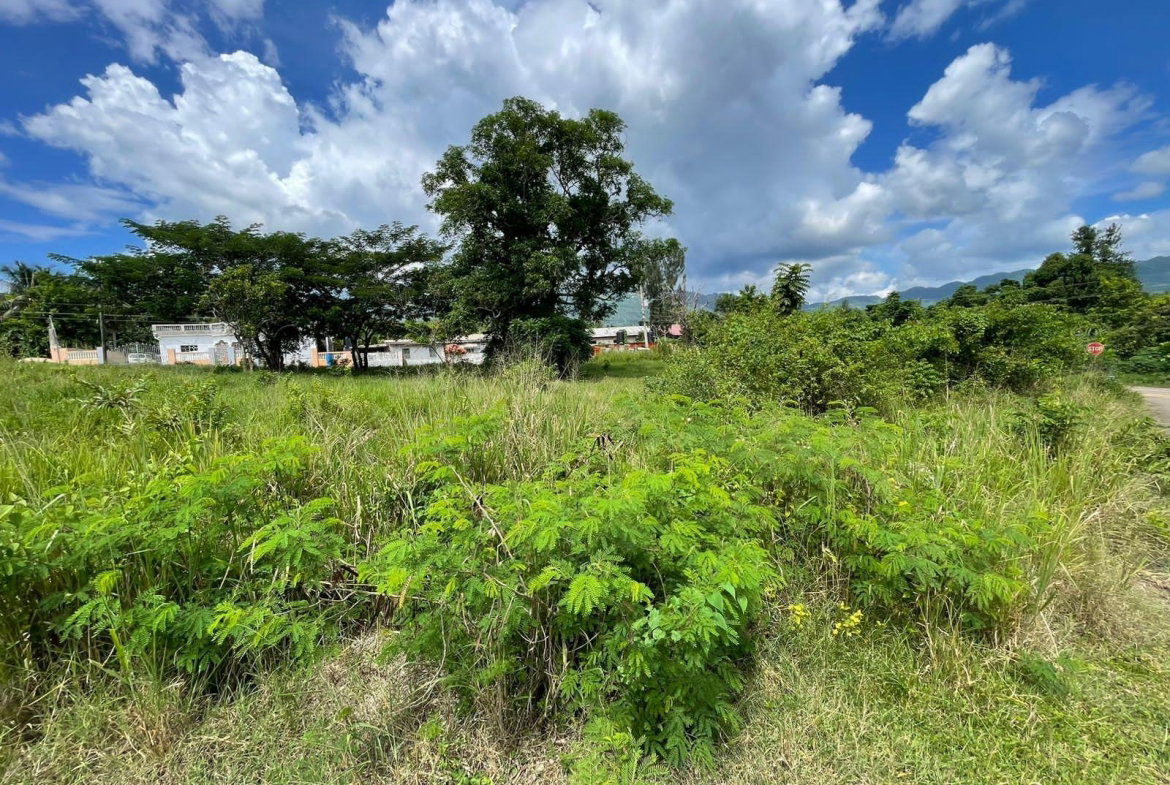Sixth image of 45 Orangefield Village in Ewarton, St. Catherine, Jamaica - property is For Sale