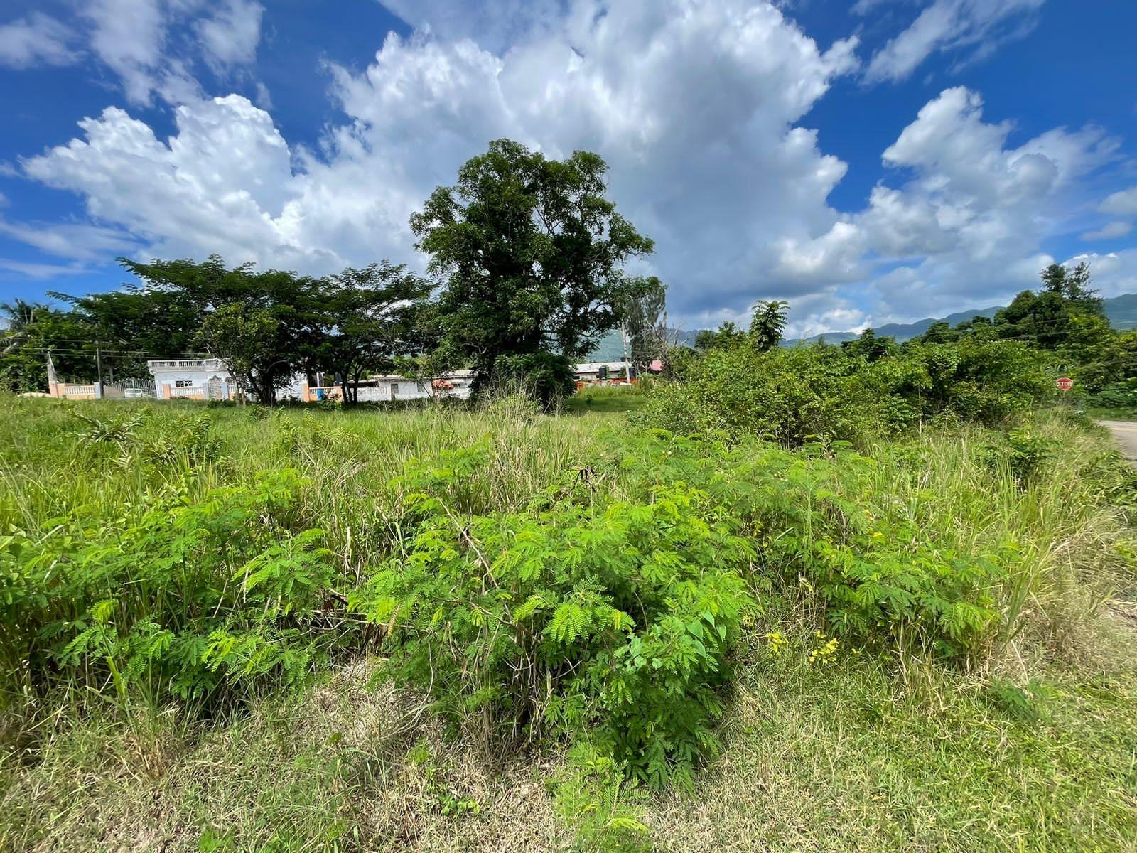 Residential-Lot-for-Sale-in-Orangefield-St.-Catherine-Jamaica Sixth image of 45 Orangefield Village in Ewarton, St. Catherine, Jamaica - property is For Sale