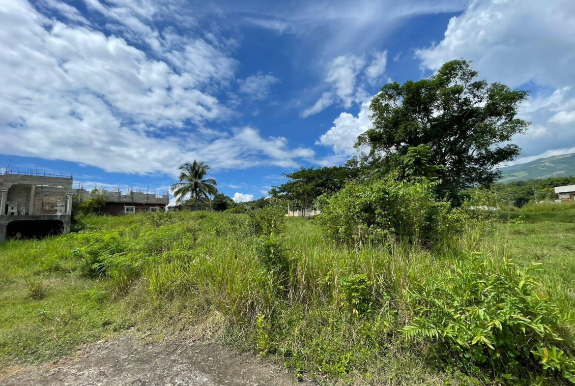 Seventh image of 45 Orangefield Village in Ewarton, St. Catherine, Jamaica - property is For Sale