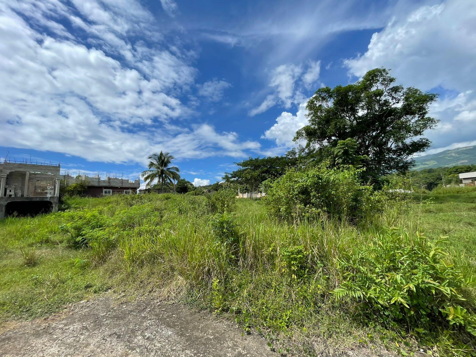 Residential-Lot-for-Sale-in-Orangefield-St.-Catherine-Jamaica Seventh image of 45 Orangefield Village in Ewarton, St. Catherine, Jamaica - property is For Sale