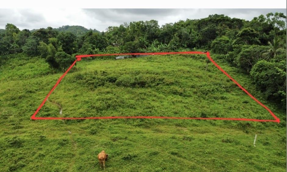 Second image of Point Hill in Point Hill, St. Catherine, Jamaica - property is For Sale
