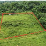 First image of Point Hill in Point Hill, St. Catherine, Jamaica - property is For Sale