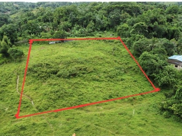 First image of Point Hill in Point Hill, St. Catherine, Jamaica - property is For Sale