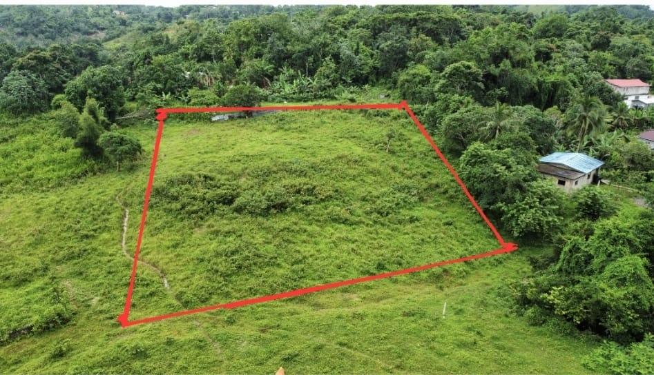 First image of Point Hill in Point Hill, St. Catherine, Jamaica - property is For Sale