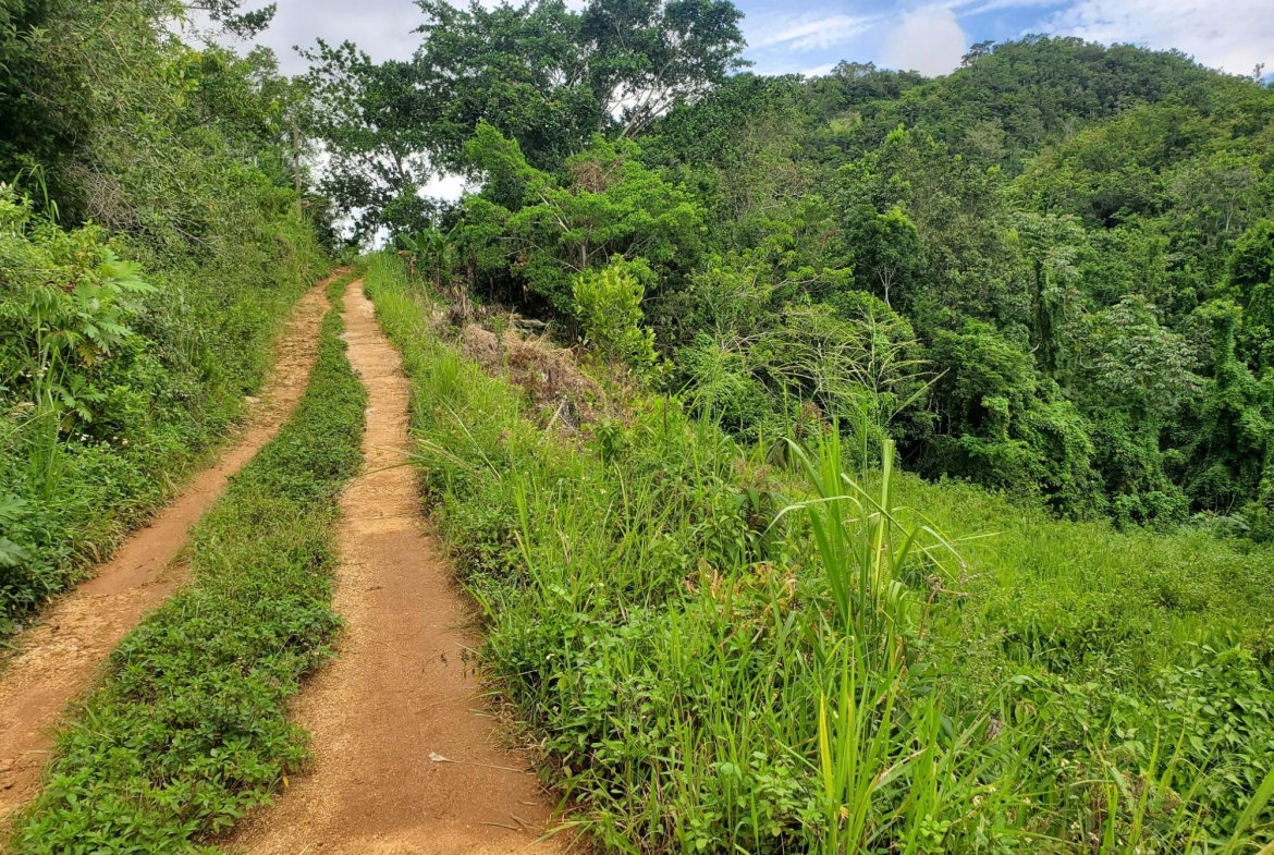 First image of Spicey Grove in Sligoville, St. Catherine, Jamaica - property is For Sale