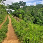 First image of Spicey Grove in Sligoville, St. Catherine, Jamaica - property is For Sale