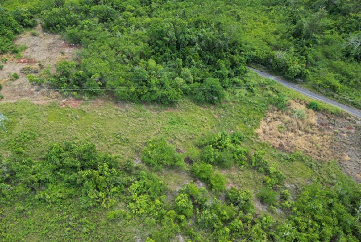 Fourth image of Spicey Grove in Sligoville, St. Catherine, Jamaica - property is For Sale