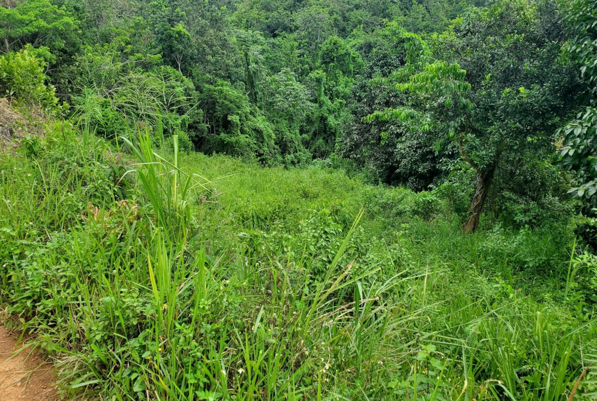 Fifth image of Spicey Grove in Sligoville, St. Catherine, Jamaica - property is For Sale
