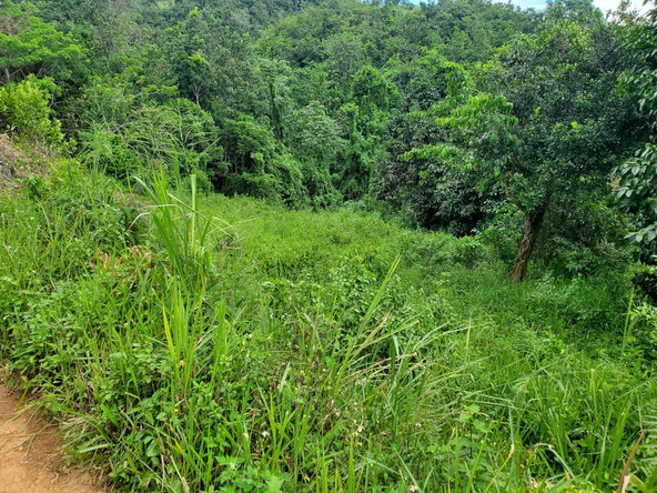 Fifth image of Spicey Grove in Sligoville, St. Catherine, Jamaica - property is For Sale