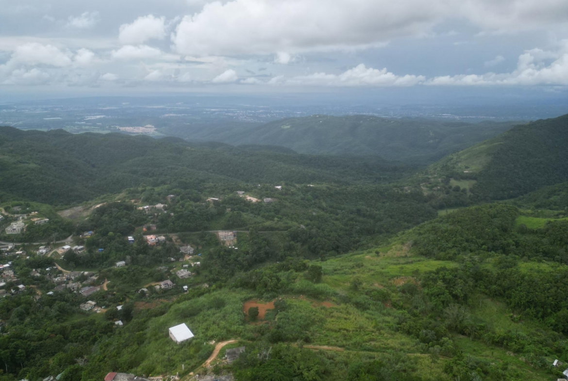 Sixth image of Spicey Grove in Sligoville, St. Catherine, Jamaica - property is For Sale