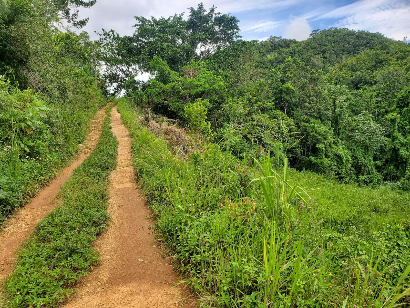 First image of Spicey Grove in Sligoville, St. Catherine, Jamaica - property is For Sale