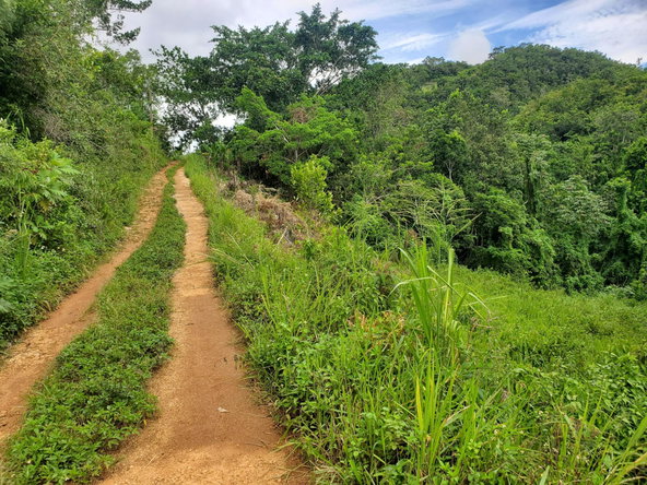First image of Spicey Grove in Sligoville, St. Catherine, Jamaica - property is For Sale