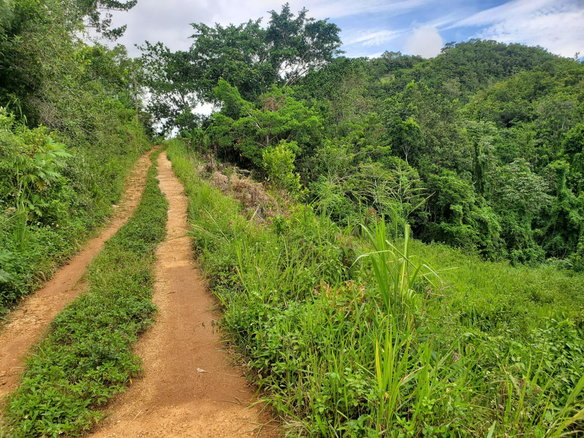 First image of Spicey Grove in Sligoville, St. Catherine, Jamaica - property is For Sale
