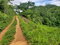 First image of Spicey Grove in Sligoville, St. Catherine, Jamaica - property is For Sale
