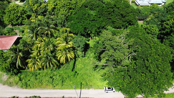 Second image of Part of Sevens Plantation in Sevens, Clarendon, Jamaica - property is For Sale