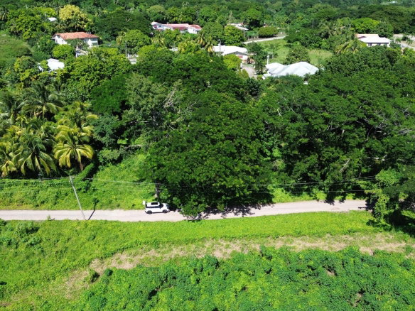 First image of Part of Sevens Plantation in Sevens, Clarendon, Jamaica - property is For Sale