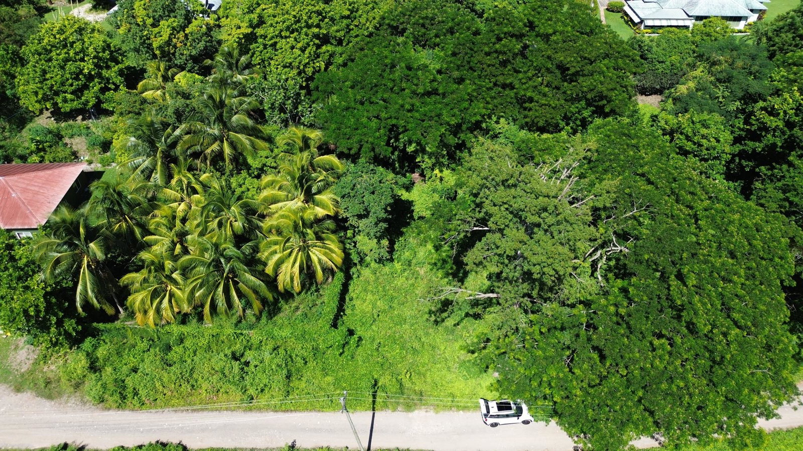 Second image of Lot #59 Part of Sevens Plantation in Sevens, Clarendon, Jamaica - property is For Sale