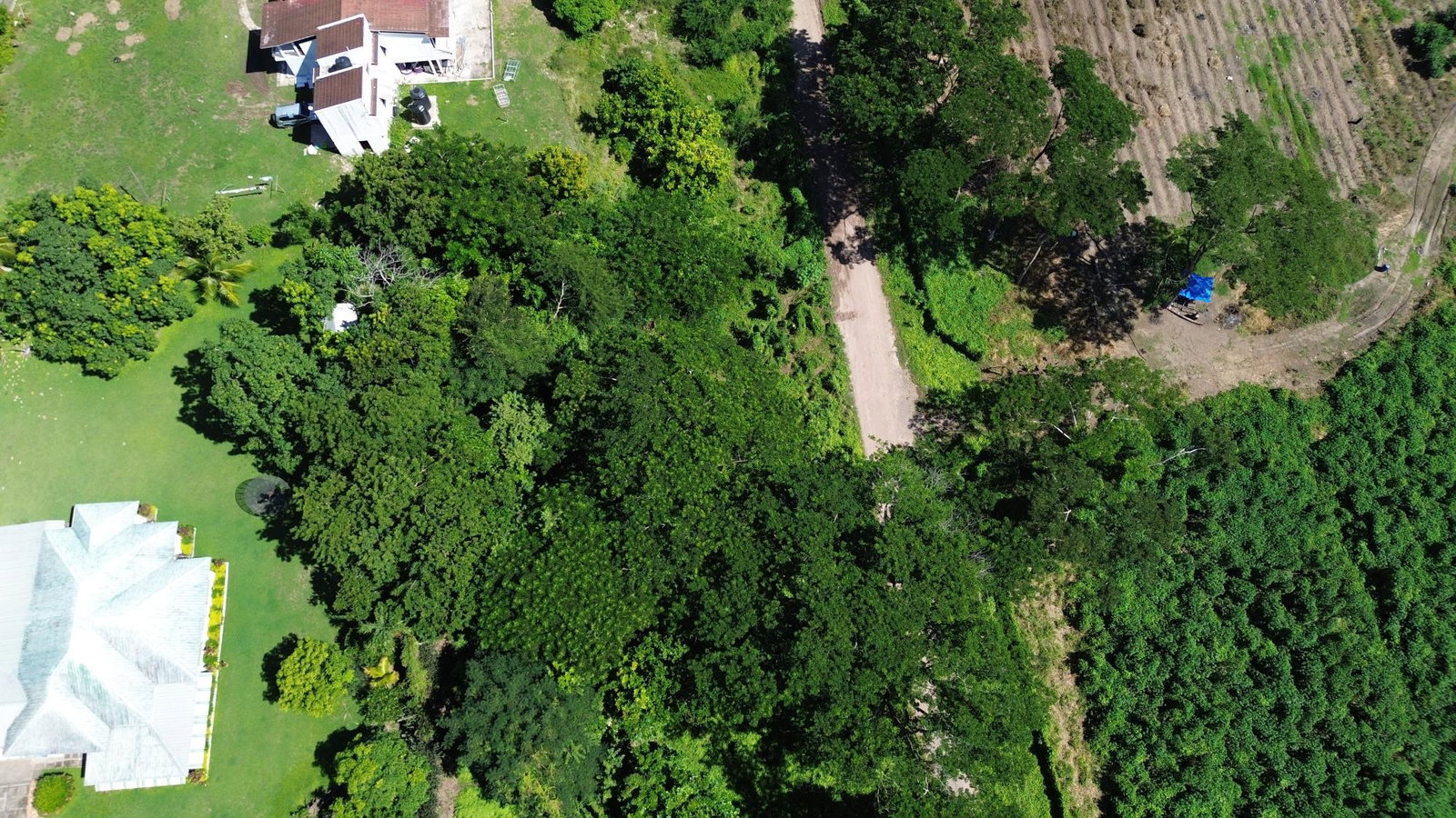 Eighteenth image of Lot #59 Part of Sevens Plantation in Sevens, Clarendon, Jamaica - property is For Sale