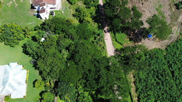 Eighteenth image of Lot #59 Part of Sevens Plantation in Sevens, Clarendon, Jamaica - property is For Sale