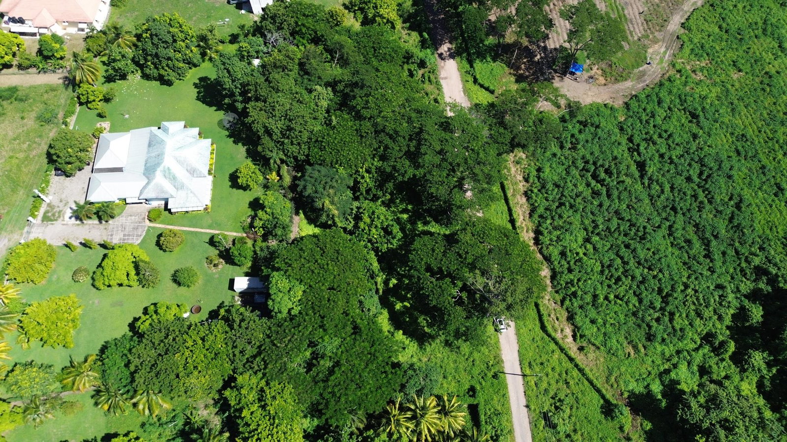 Nineteenth image of Lot #59 Part of Sevens Plantation in Sevens, Clarendon, Jamaica - property is For Sale