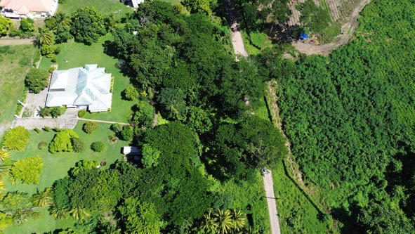 Nineteenth image of Lot #59 Part of Sevens Plantation in Sevens, Clarendon, Jamaica - property is For Sale