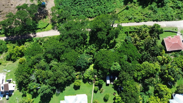 Twentieth image of Lot #59 Part of Sevens Plantation in Sevens, Clarendon, Jamaica - property is For Sale