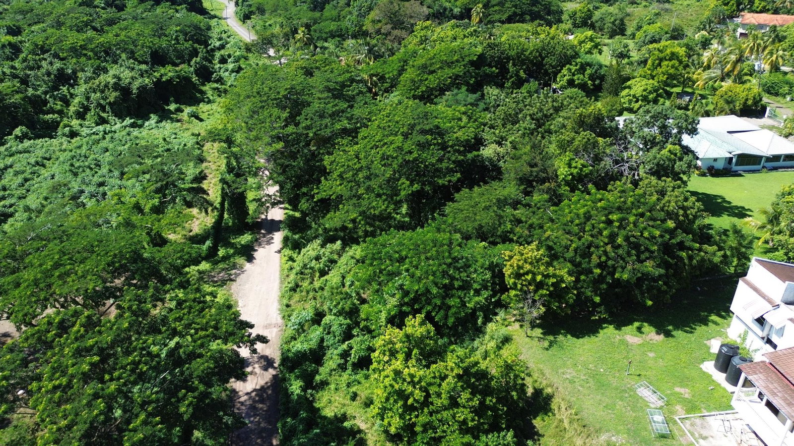 Fourth image of Lot #59 Part of Sevens Plantation in Sevens, Clarendon, Jamaica - property is For Sale