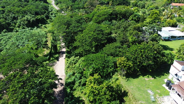 Fourth image of Lot #59 Part of Sevens Plantation in Sevens, Clarendon, Jamaica - property is For Sale