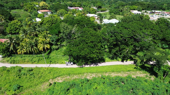 First image of Lot #59 Part of Sevens Plantation in Sevens, Clarendon, Jamaica - property is For Sale