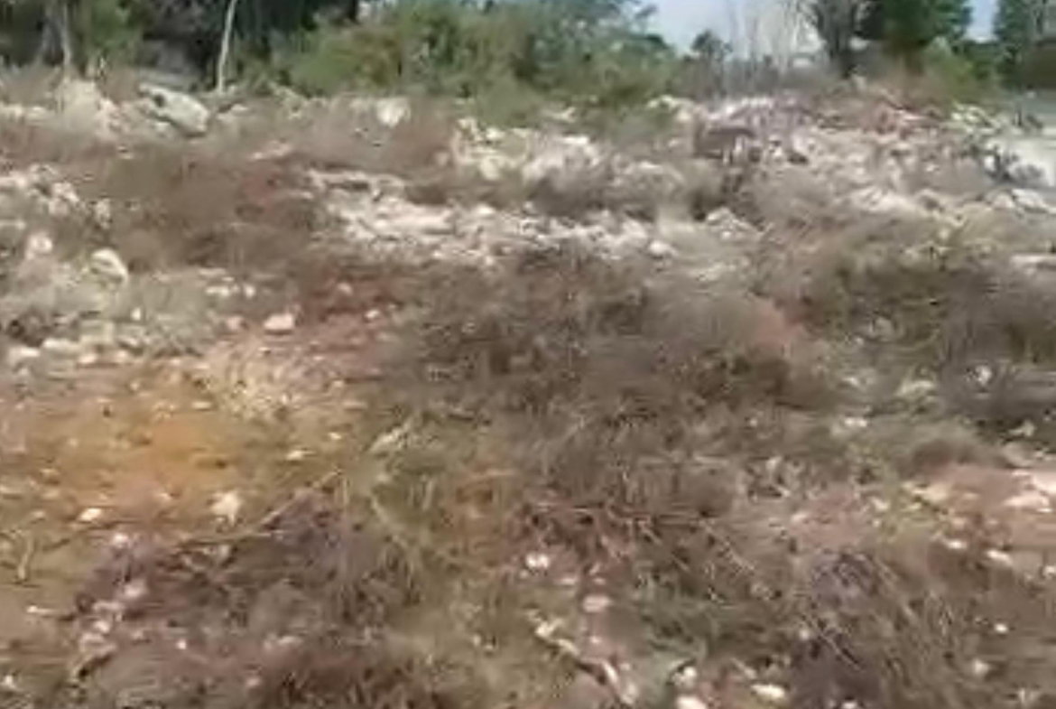 First image of Spur Tree in Spur Tree, Manchester, Jamaica - property is For Sale
