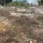 First image of Spur Tree in Spur Tree, Manchester, Jamaica - property is For Sale