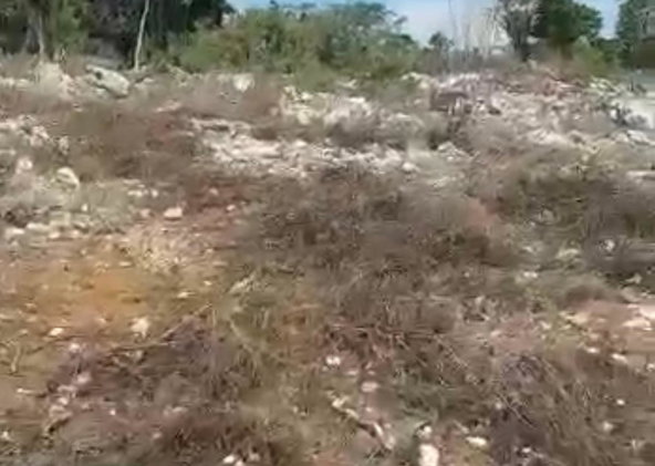First image of Spur Tree in Spur Tree, Manchester, Jamaica - property is For Sale