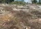 First image of Spur Tree in Spur Tree, Manchester, Jamaica - property is For Sale